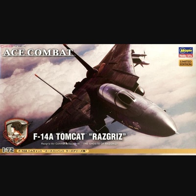 Hasegawa空战奇兵F-14A雄猫模型