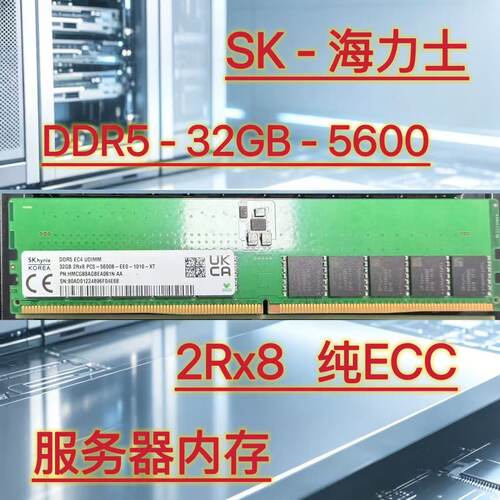 海力士DDR55600纯ECC内存条