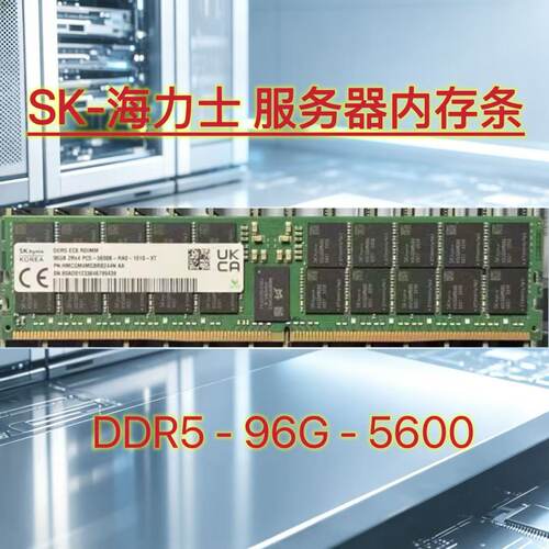 海力士96GDDR55600ECC内存
