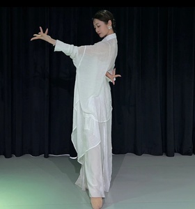 世界赠予我的服装夏辉同款现代舞演出服身韵纱衣教师练功服衬衣
