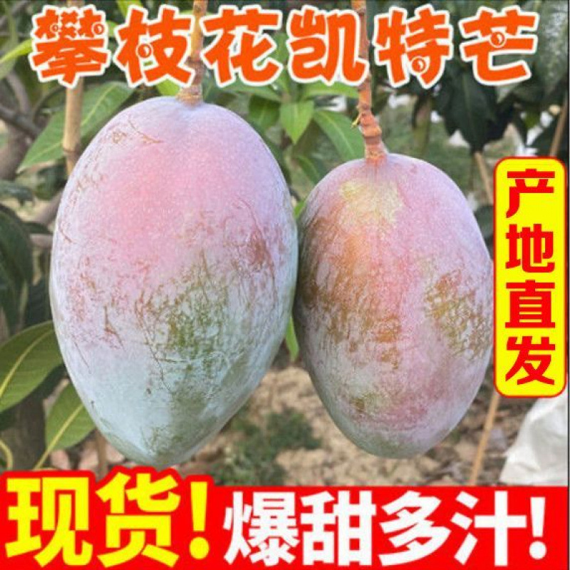 四川攀枝花青皮凯特芒果新鲜水果当季整箱特大凯特芒鲜果大芒果