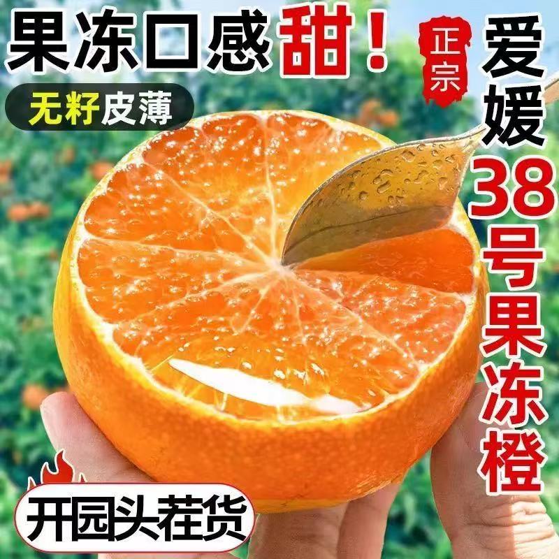 【精品爱媛果冻橙38号】现摘鲜橙子当季水果手拨橙柑橘四川产区发