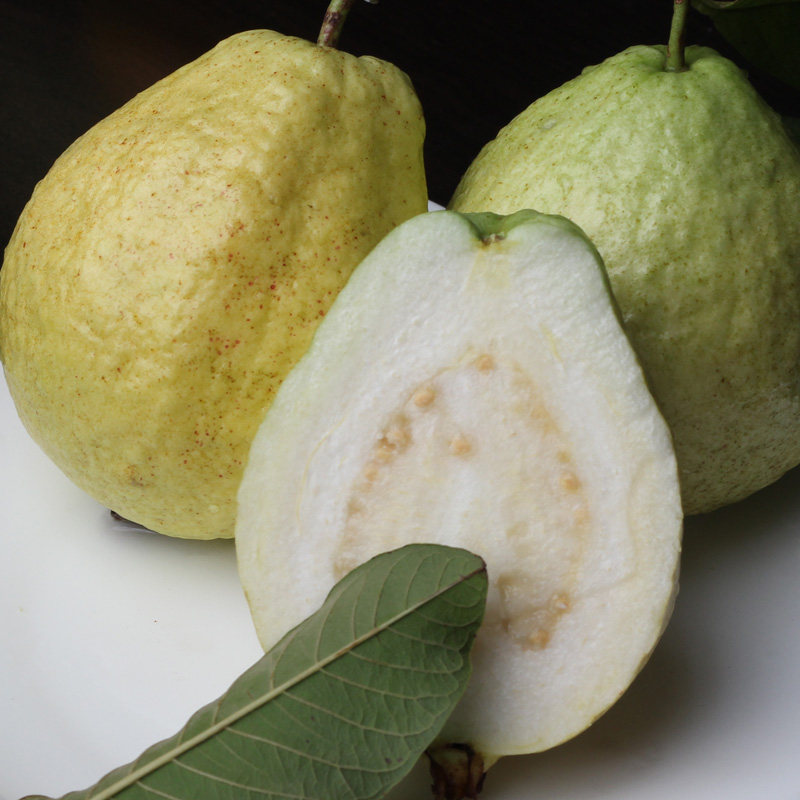 广东南沙万顷鲜摘白心珍珠芭乐番石榴爽脆甜低糖水果木仔鸡屎果