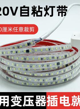 自粘灯带220v灯带led灯条灯槽免驱户外吊顶室内展示柜直接插电
