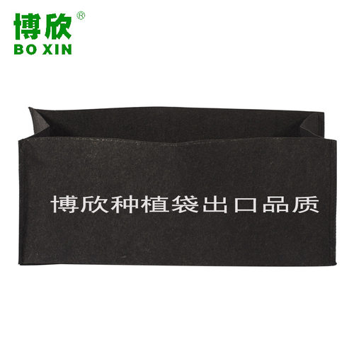 毛毡花盘滕本月季种植袋无纺布长