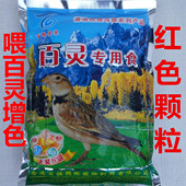 香港百强金装 红色颗粒百灵鸟食饲料窝勒鸟沙雀鸟百灵饲料500g