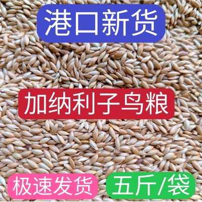 新货加纳利子鹦鹉鸟食鸽粮草子鸟粮虎皮牡丹玄凤文鸟金丝雀玉鸟食