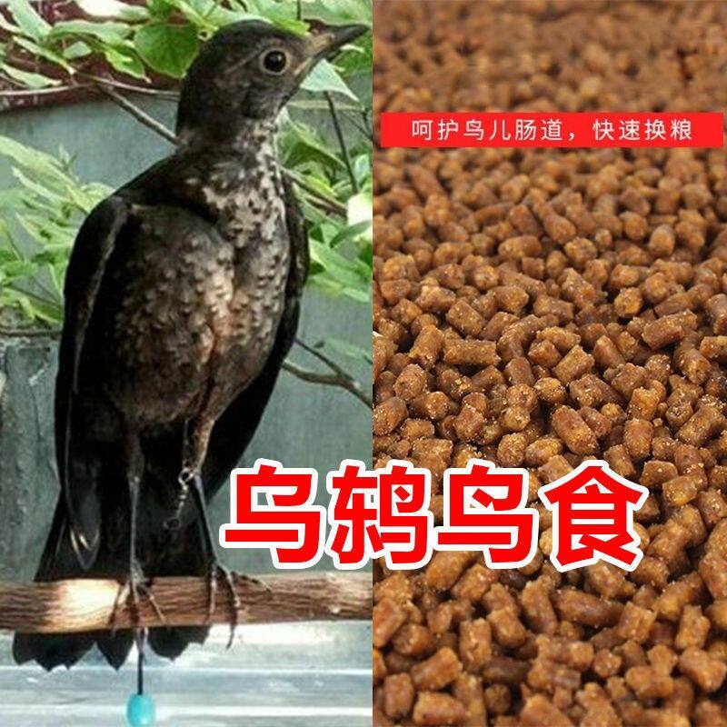 ②乌鸫鸟饲料鸟食鸟粮鹩哥鸟八哥鸟喜鹊鸟食