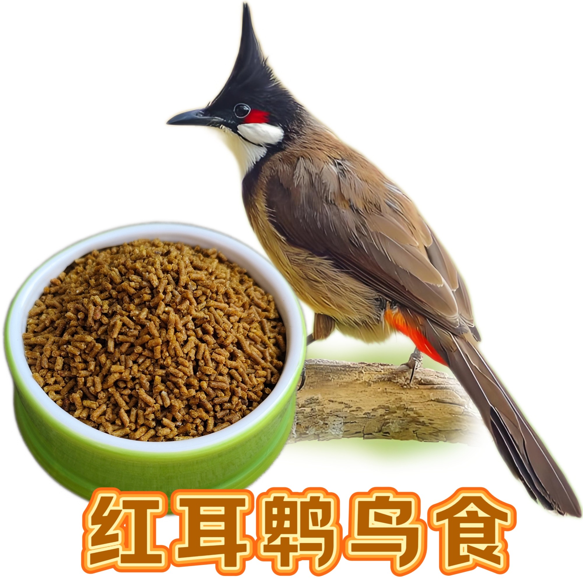 红耳鹎鸟食鹎类鸟粮红屁股白头翁鸟饲料益生菌营养靓羽鸟料