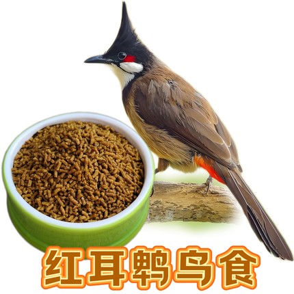 红耳鹎鸟食鹎类鸟粮红屁股白头翁鸟饲料益生菌营养靓羽鸟料