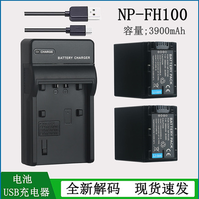 适用索尼摄像机FH100电池充电器