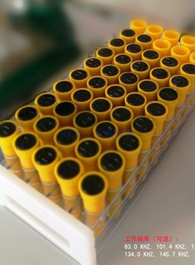 169.8KHZ钉形智能信标器 供水管道145.7KHZ电子标识钉HX-EM001