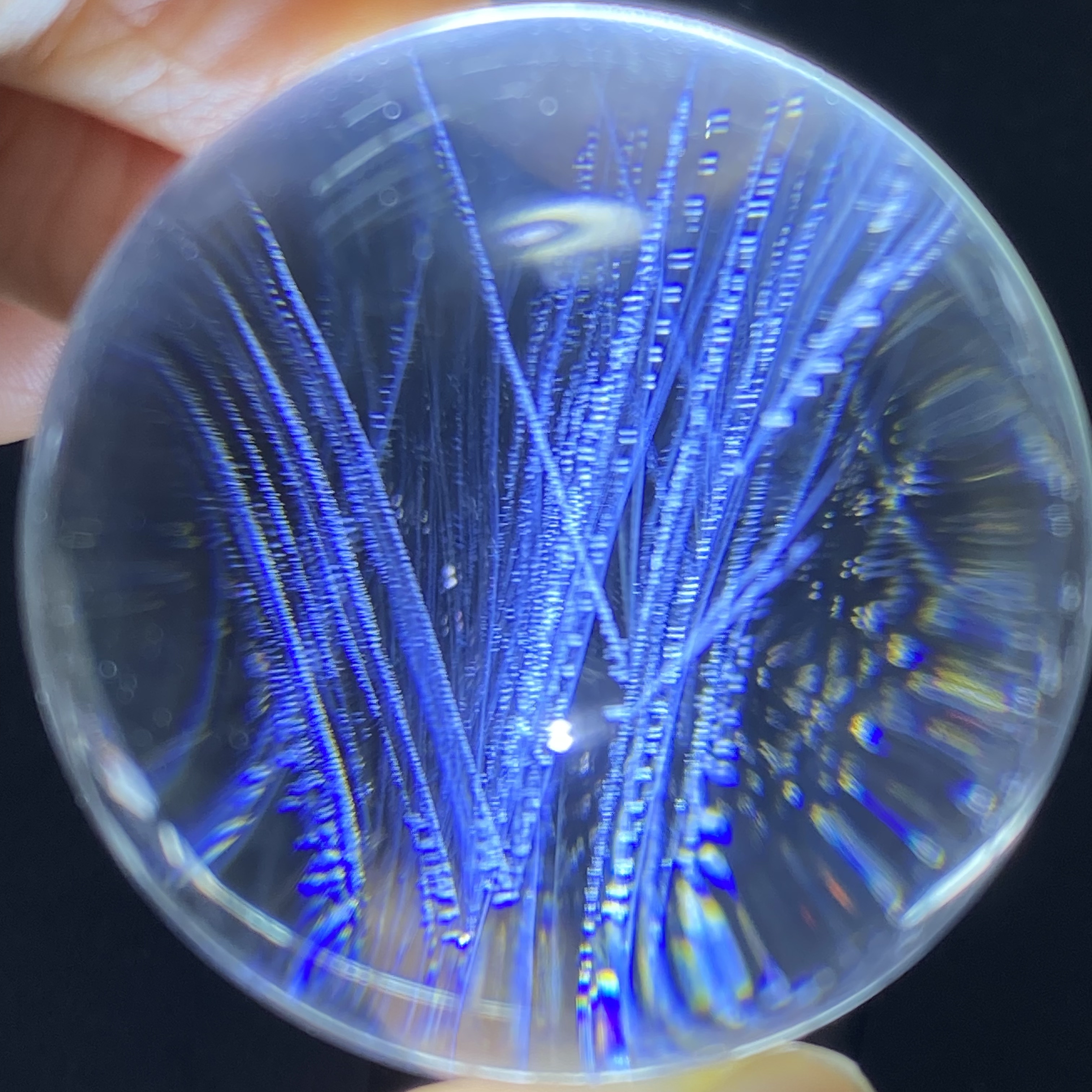天然白水晶蓝针水晶球摆件4.4厘米 一物一图