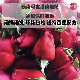 基地直发云南可食用玫瑰花新鲜墨红玫瑰花苞可做酱醋酵素纯露