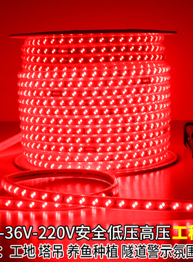 led红光灯带24V36V户外防水220V工程绿光塔吊隧道警示照明地下室
