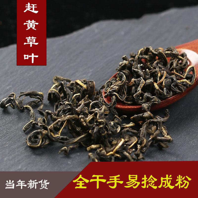 四川古蔺赶黄草 新货赶黄草叶 养生 赶黄草叶  /500g包邮 精选