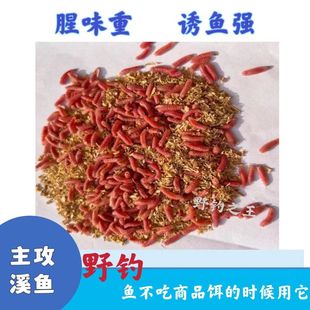 红蛆虫蛆虫活虫白蛆虫蛆溪流石斑鱼马口鲫鱼野钓钓鱼饵料鱼饵料