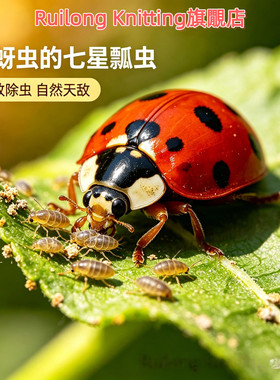 七星瓢虫活体料花草蚜发宠物包蔬菜专异色除虫多星专吃包邮卵成虫