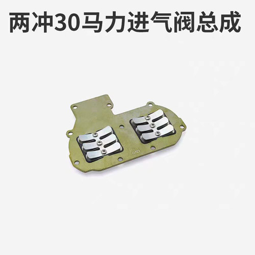 适用亚岛2冲程30匹船外机维修配件进气阀总成渔船冲锋舟推进器