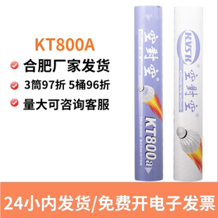 12只裝 空對(duì)空羽毛球KT800A學(xué)生訓(xùn)練教學(xué)耐打訓(xùn)練家用羽毛球子