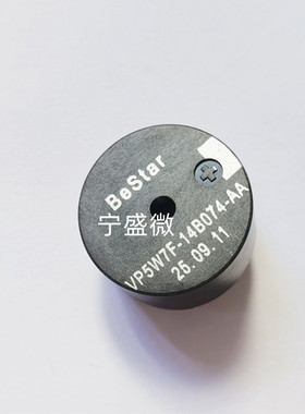 VP5W7F-14B074-AA BME2512P-01A 汽车电磁无源蜂鸣器12V 100DB