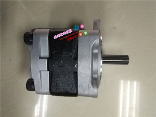 27齿轮泵先导泵尾泵 PSVD2 挖掘机配件柳工906C 904C国产小挖