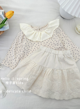 女童春秋装蕾丝半身裙婴儿甜美可爱公主裙女宝宝韩版超萌纯色裙子