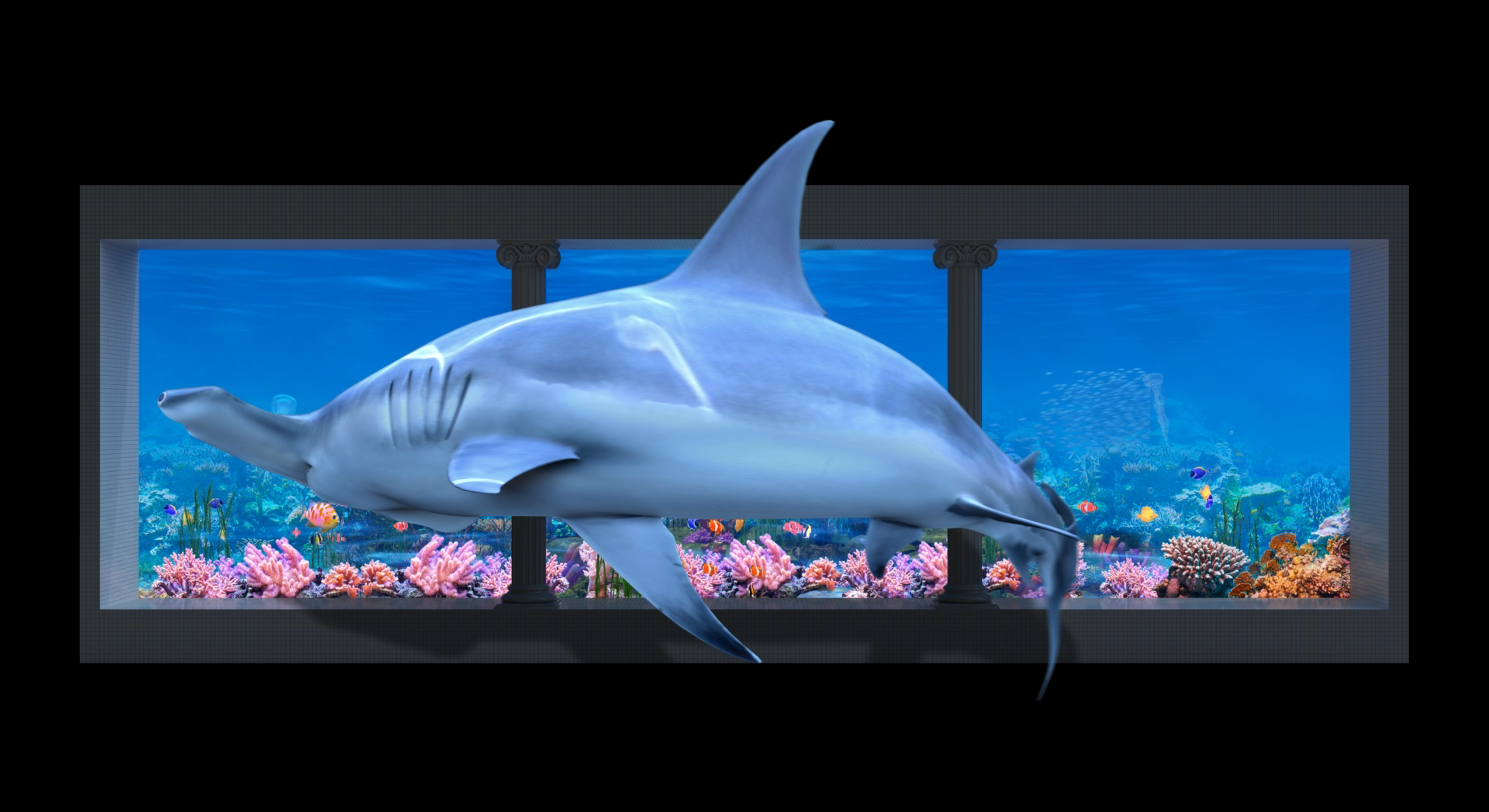 34kj鱼缸出屏鲨鱼8k出框裸眼3d沉浸式led显示屏视频素材新品促销