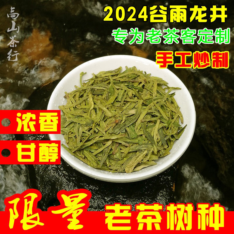 2024新茶谷雨前龙井绿茶 群体老茶树种浓香型老茶客挚爱 散装500g