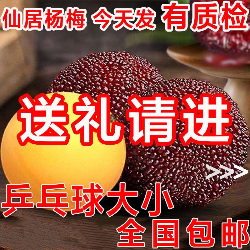杨梅鲜果仙居杨梅现摘现发新鲜杨梅水果当季礼盒浙江仙居东魁杨梅