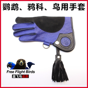 盘飞鸟训鸟鹦鹉鸦科渡鸦白颈寒鸦鸟类宠物用防抓防咬短款手套套袖