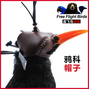 渡鸦白颈乌鸦红嘴山鸦寒鸦科帽子喜鹊秃鼻牛皮遮光罩眼罩训鸟头套