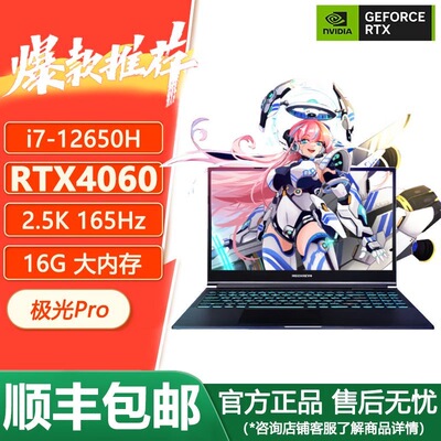 机械革命极光Pro/X游戏笔记本