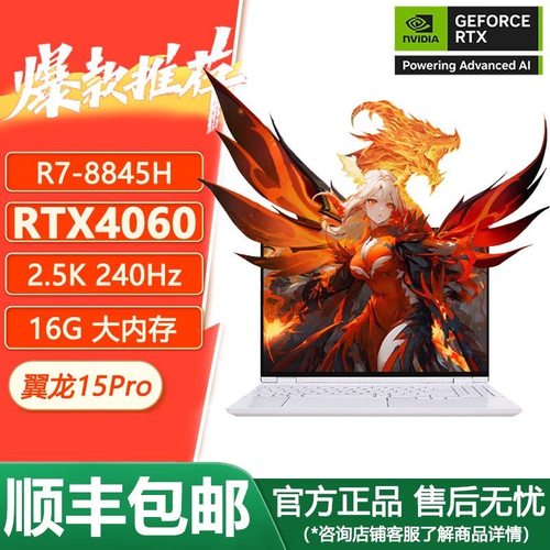 机械革命翼龙15Pro游戏笔记本