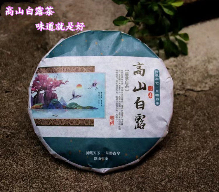 福鼎白茶 2016年高山白露茶饼茶 古法制作滋味甘香醇 耐泡