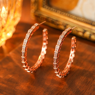 时尚设计大圆圈蛇骨耳环女百搭高级感轻奢风个性精致耳钉超闪耳饰