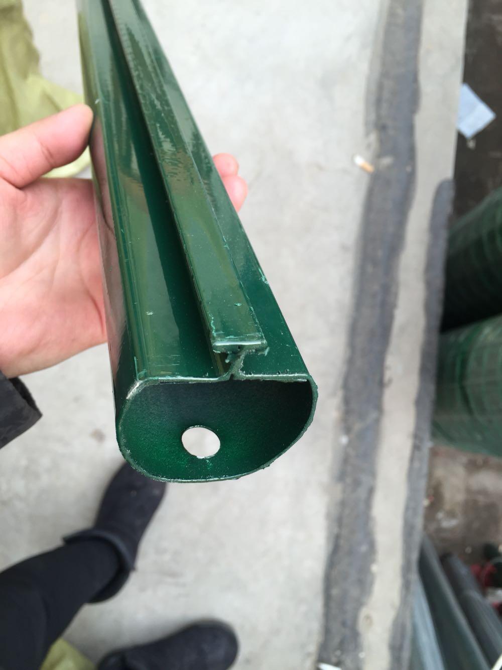 荷兰网立柱围栏养鸡荷兰网立柱