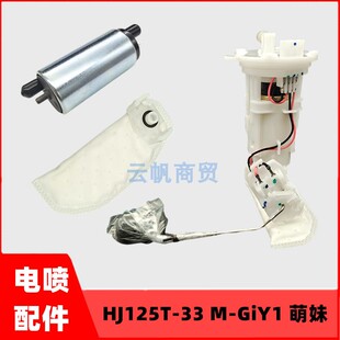 GiY1汽油泵萌妹油泵泵芯过滤棉 适用于豪爵电喷摩托车HJ125T