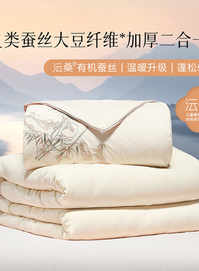 百丽丝家纺 竹瑶·有机柞蚕丝大豆柔丝加厚二合一被