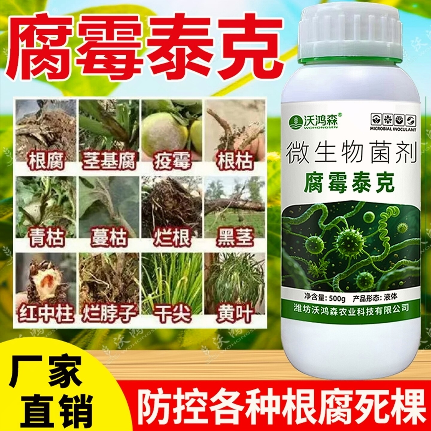 沃鸿森微生物菌剂腐霉泰克促光合预防根腐死棵青枯黄枯立枯萎500g