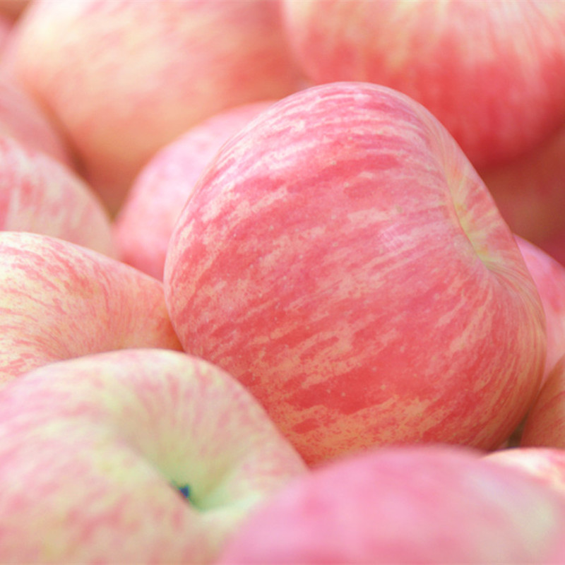 高州市花呗额度500能买苹果手机吗【加▲V信