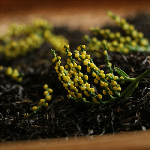 自然兰香的珠兰花红茶2025 安吉高山土红茶雅香型 100克