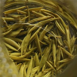 2026沐川纯芽绿茶高山老川种头采 清鲜回甜型 51克小袋装