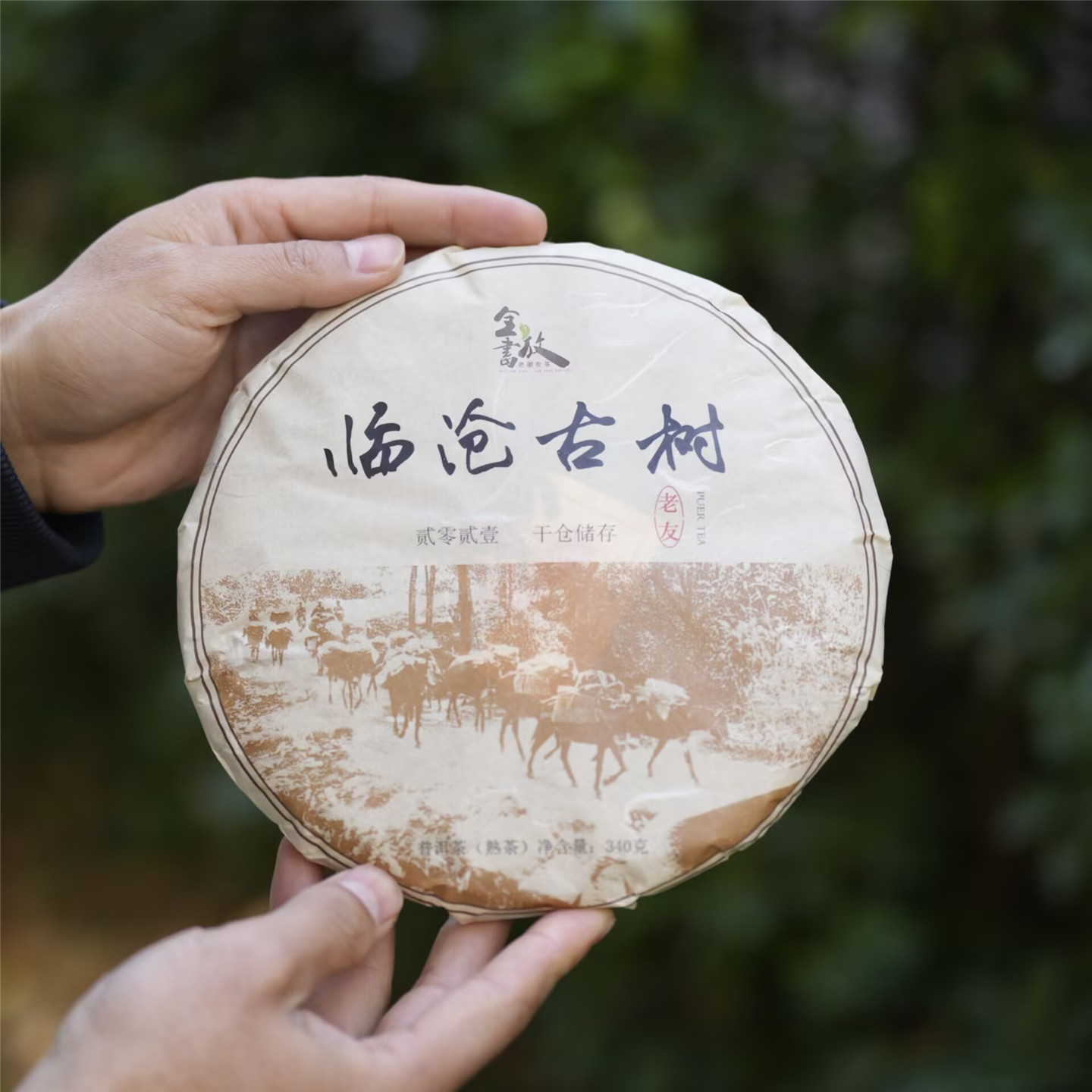 2021临沧古树熟普春茶 干净糯滑甘甜耐泡,茶,普洱,淘宝优惠券,粉丝福利购,淘宝优惠卷