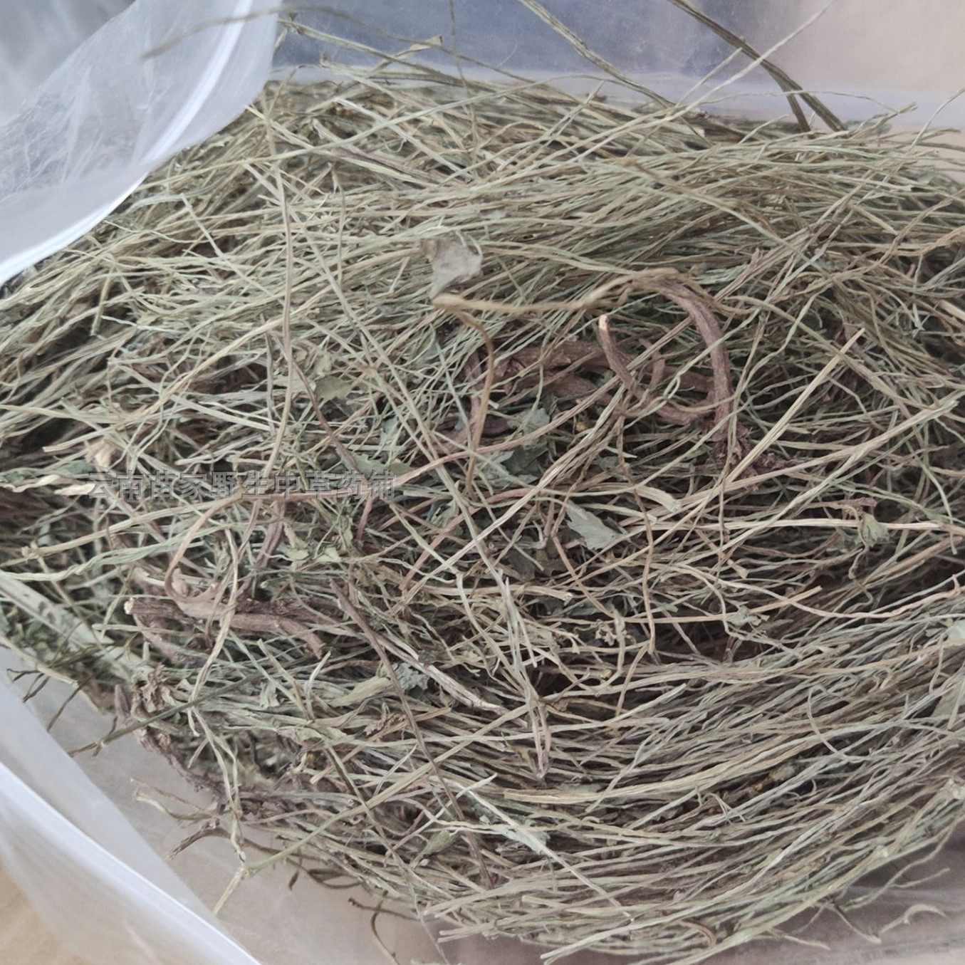 苷莲草 云南苗家中草药野生特产中药材非泡酒料药酒料