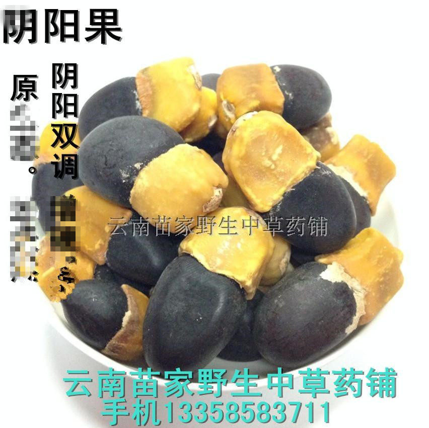 阴阳果 云南苗家特产苗家 子 中草药 泡酒料药酒料 野生中药材