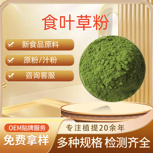 食叶草粉 食叶草提取物 水溶性粉 食叶草粉固饮料 新食品原料包邮