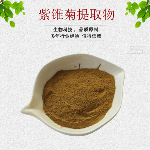 紫锥菊提取物紫锥菊多糖