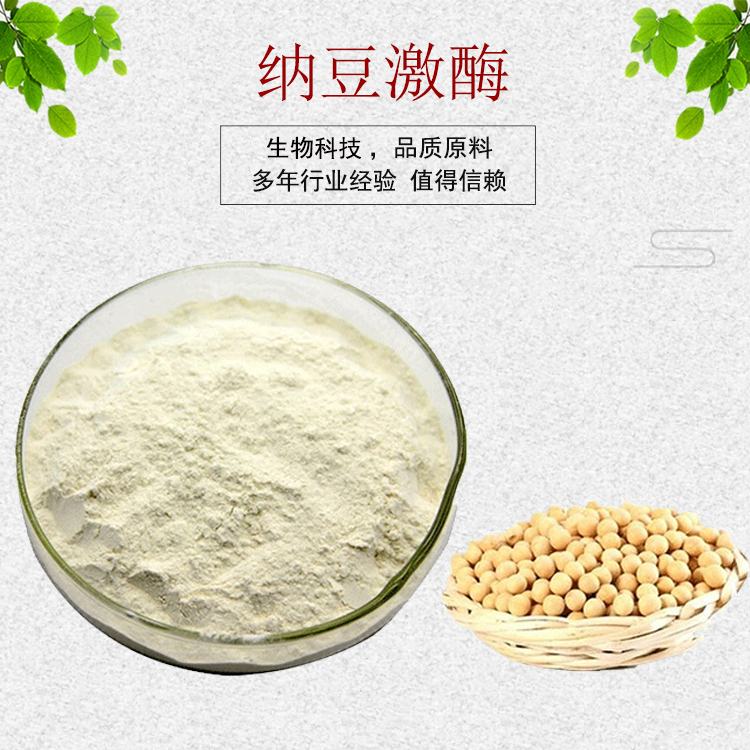 纳豆激酶纳豆提取物 20000FU纳豆激酶粉纳豆冻干粉 100g包邮