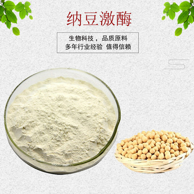 纳豆激酶 纳豆提取物 20000FU 纳豆激酶粉 纳豆冻干粉 100g 包邮